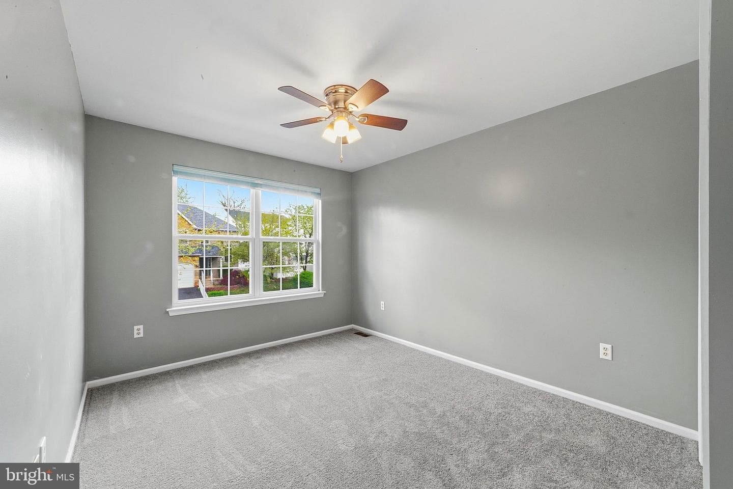 201 Shirley Lane photo 16
