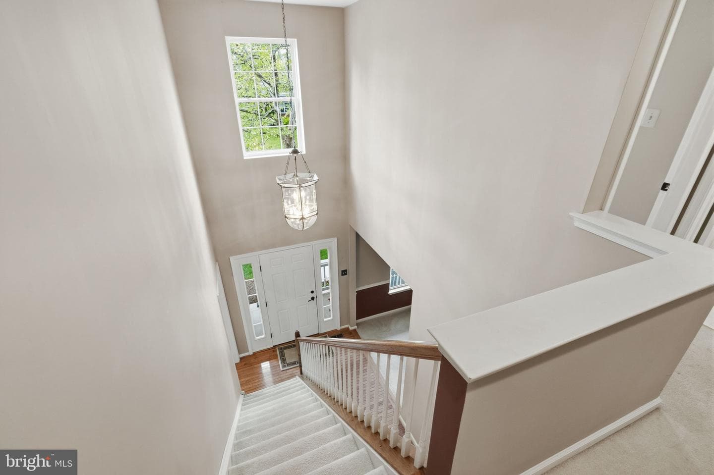 242 Vaughn Road photo 50