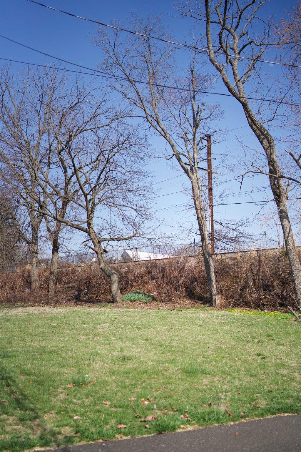 1649 Washington Avenue photo 15