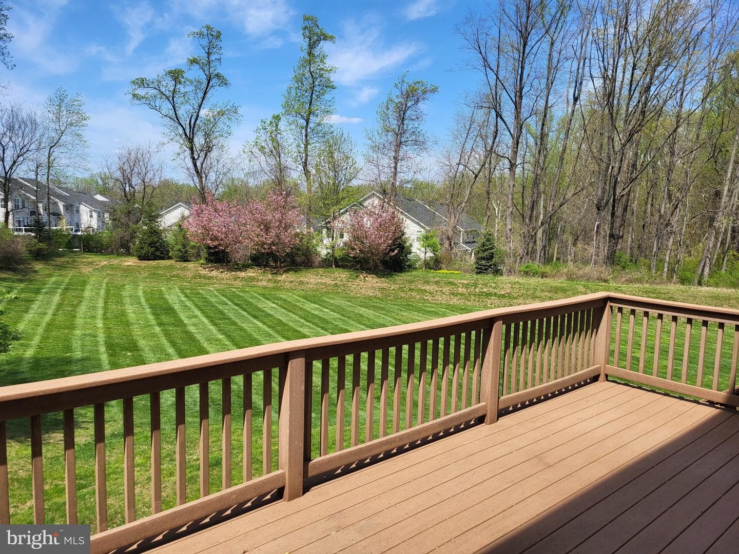19 Viburnum Court photo 4