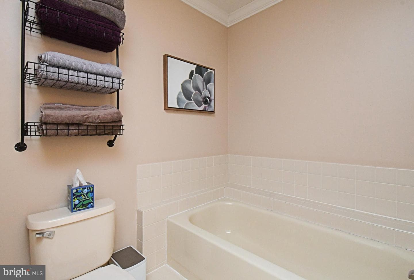 176 Filly Drive photo 36