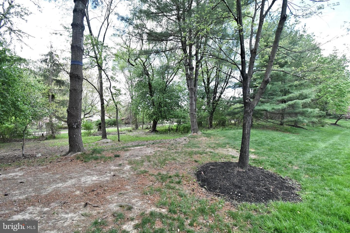 176 Filly Drive photo 49