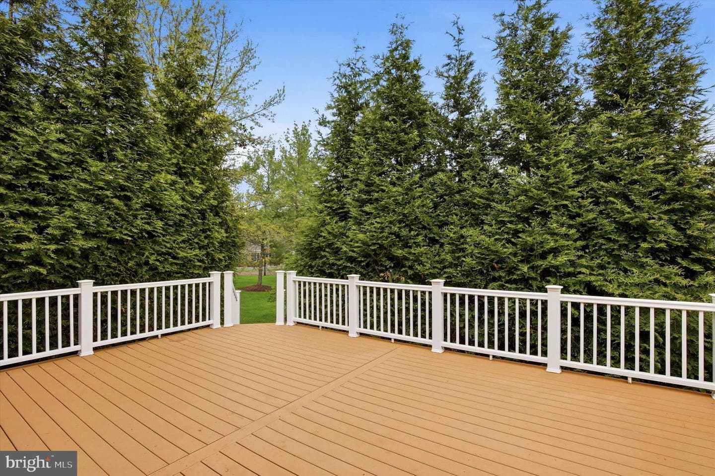 61 Harlow Circle photo 12