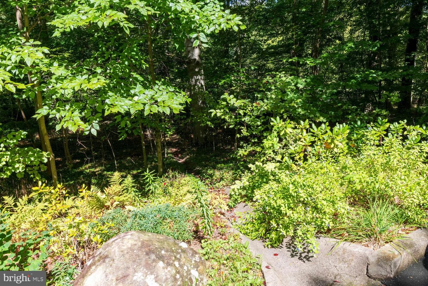 7 Walt Lane photo 36