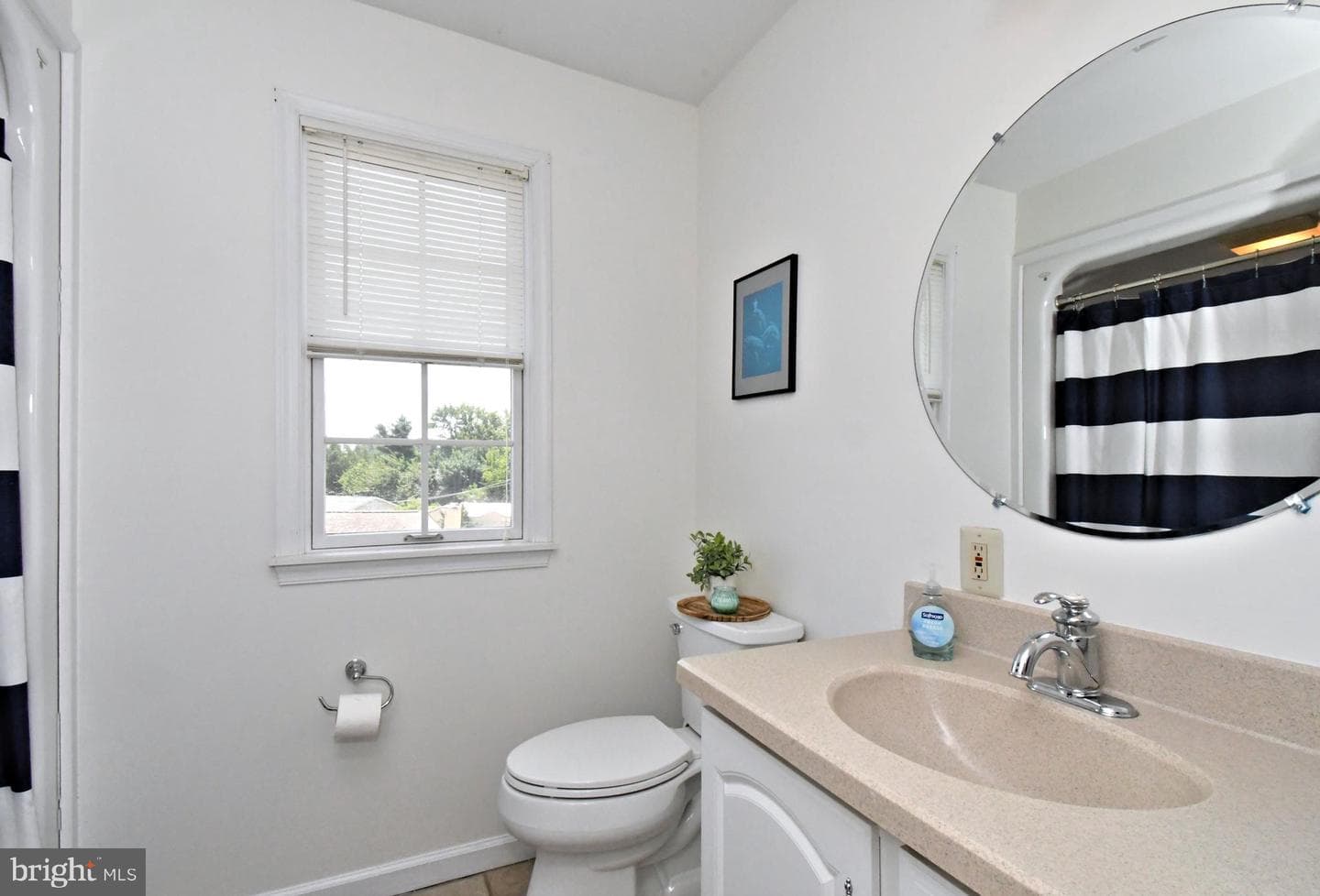 528 Berkley Avenue photo 48
