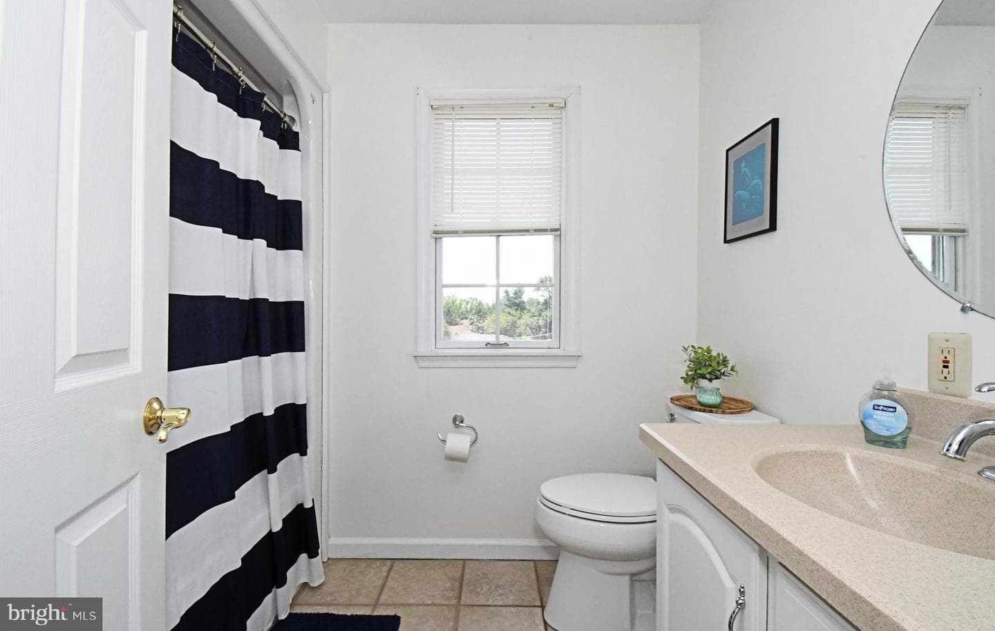 528 Berkley Avenue photo 49