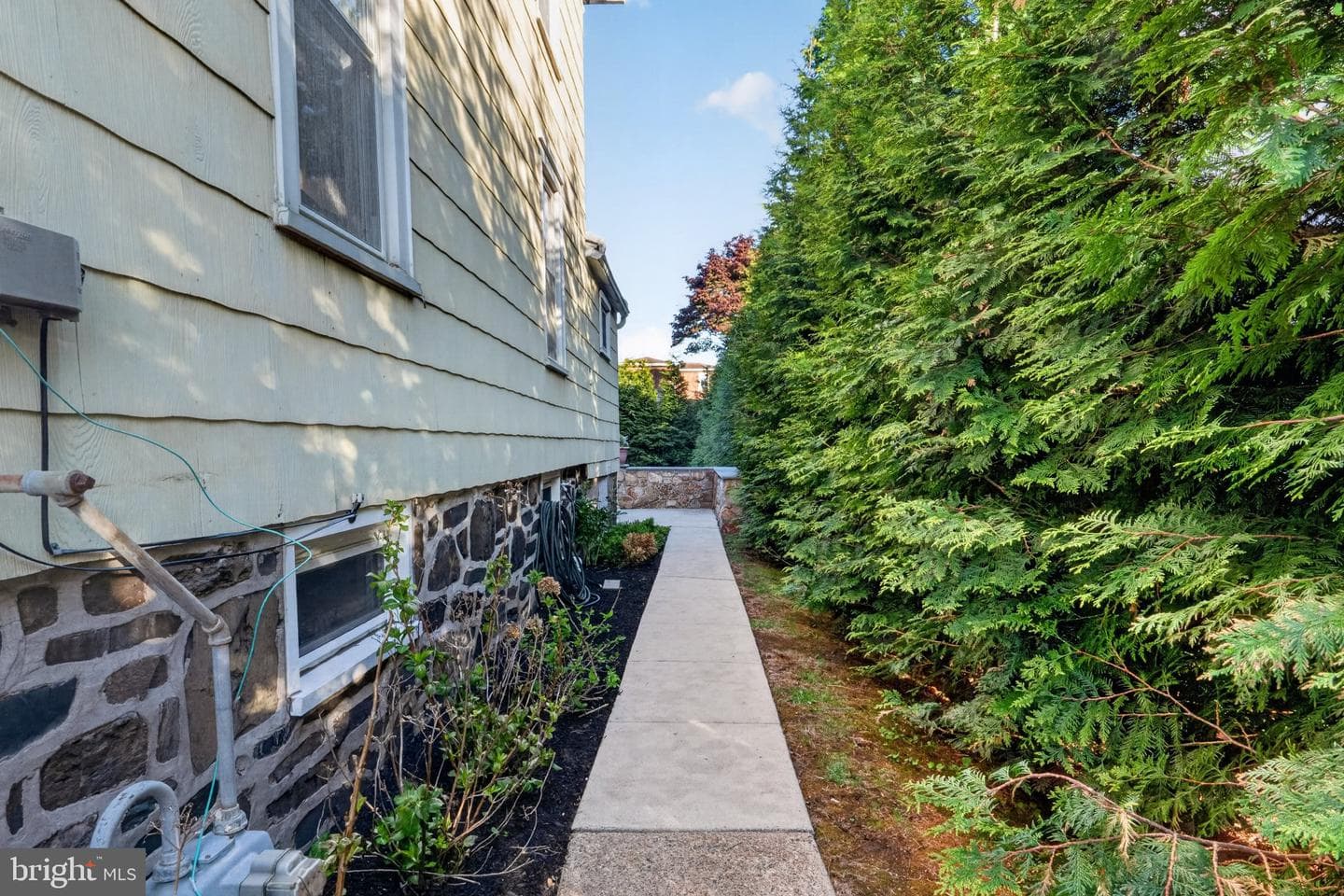 308 Francis photo 29