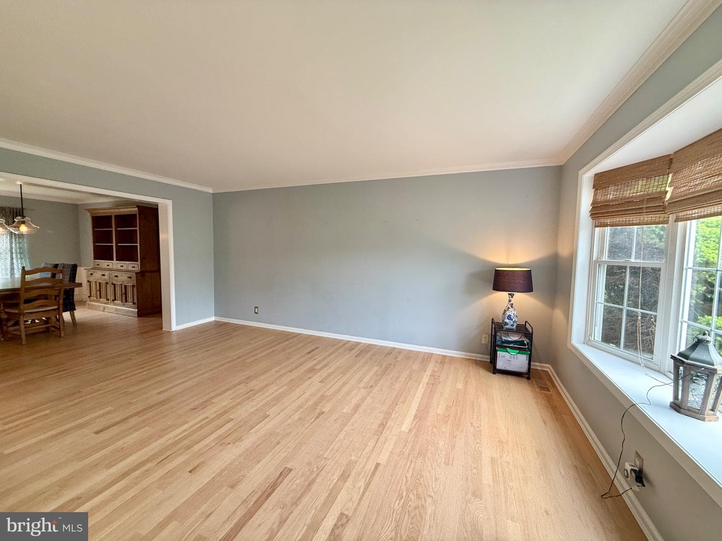 358 Peachtree Drive photo 9