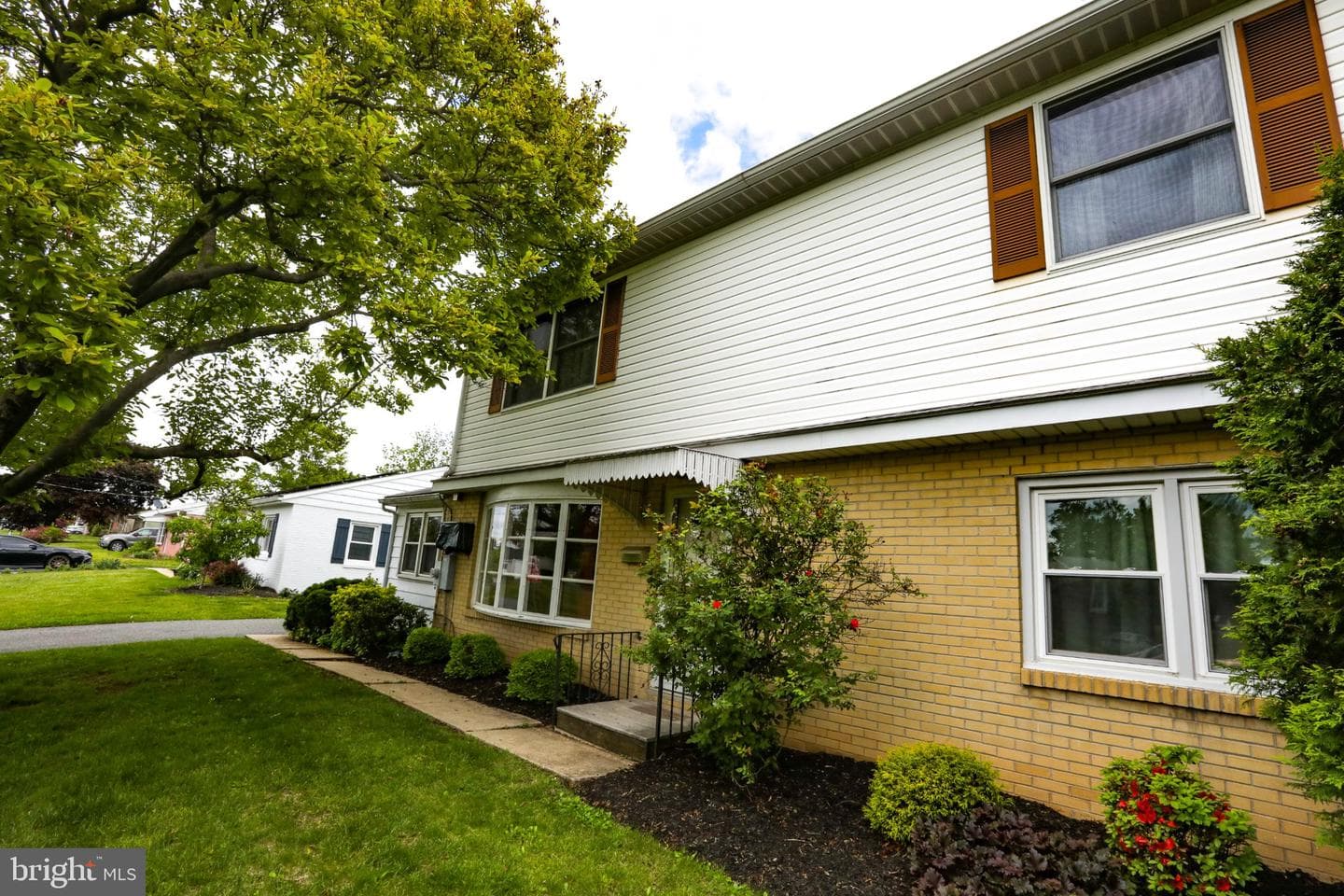 54 Douglas Street photo 5