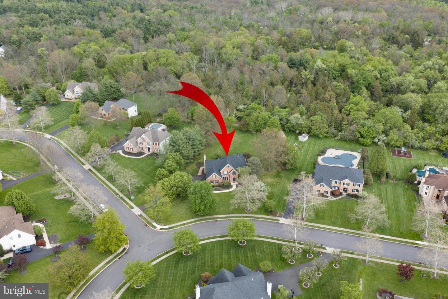 822 Hidden Forest Drive photo 47