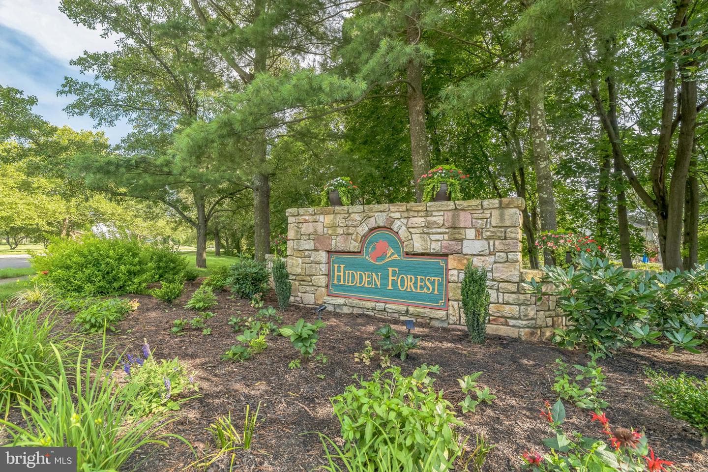 822 Hidden Forest Drive photo 49
