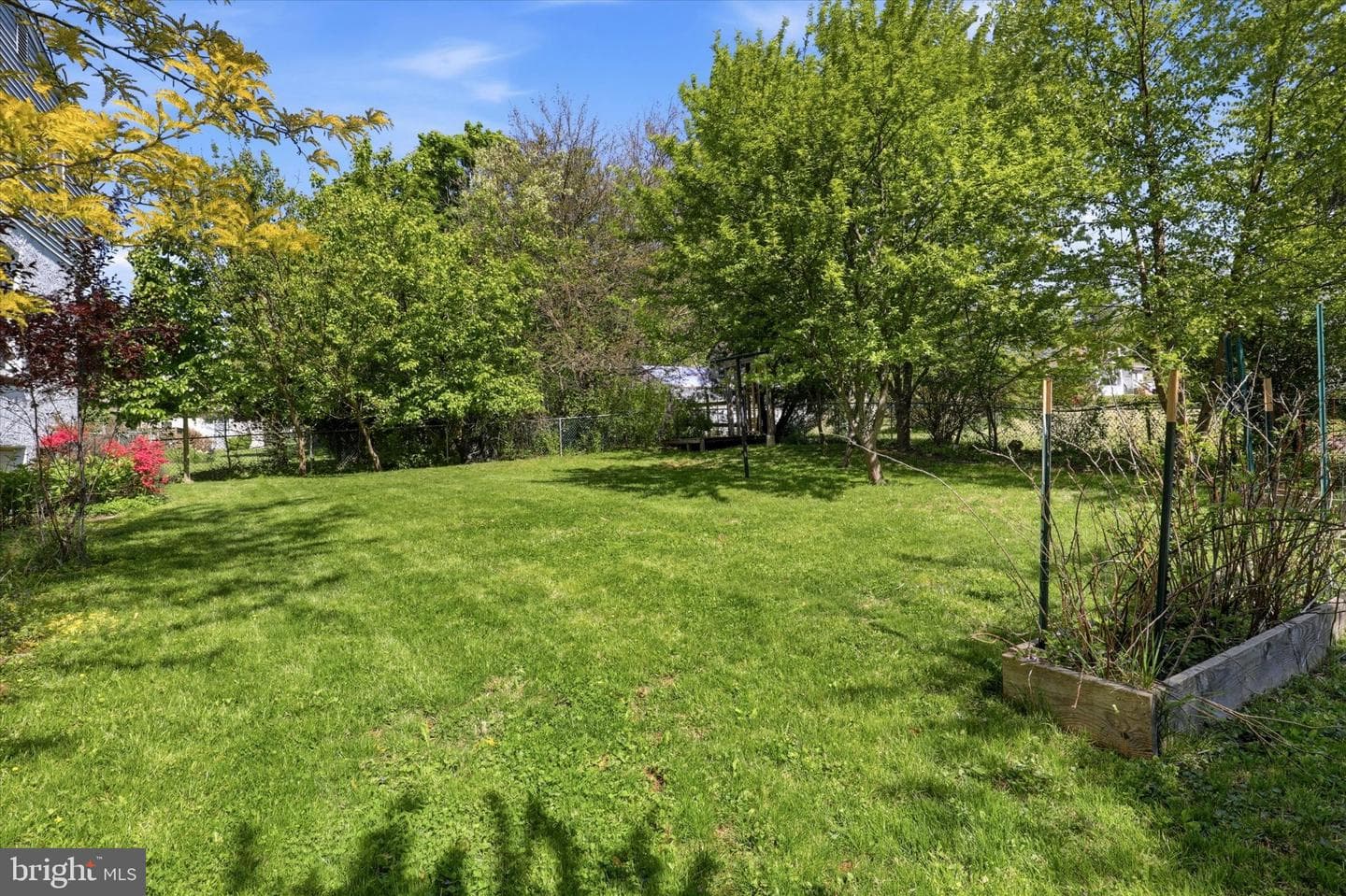 113 Belmont Avenue photo 22