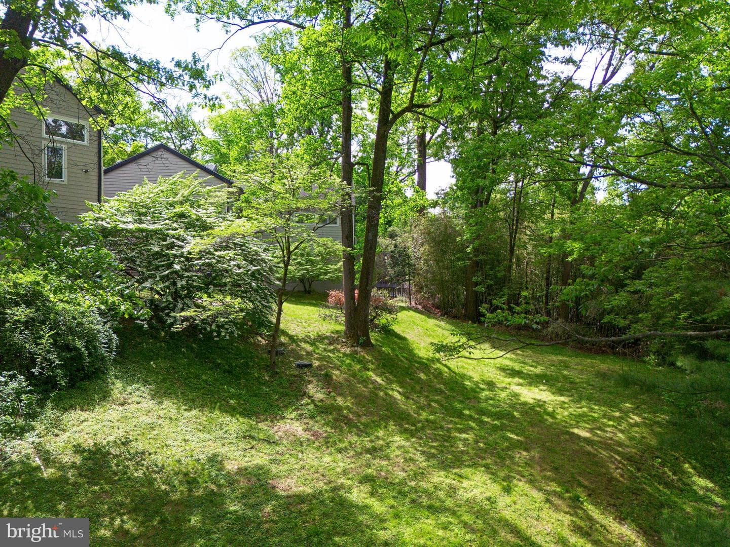 50 Fairview Road photo 60
