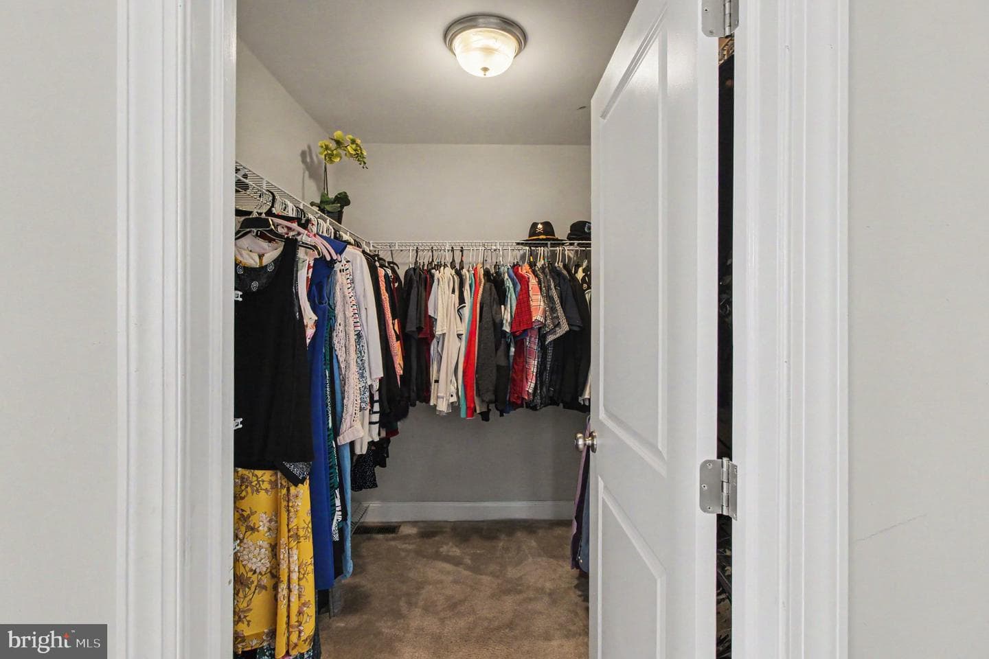 100 Arlington Ln photo 18