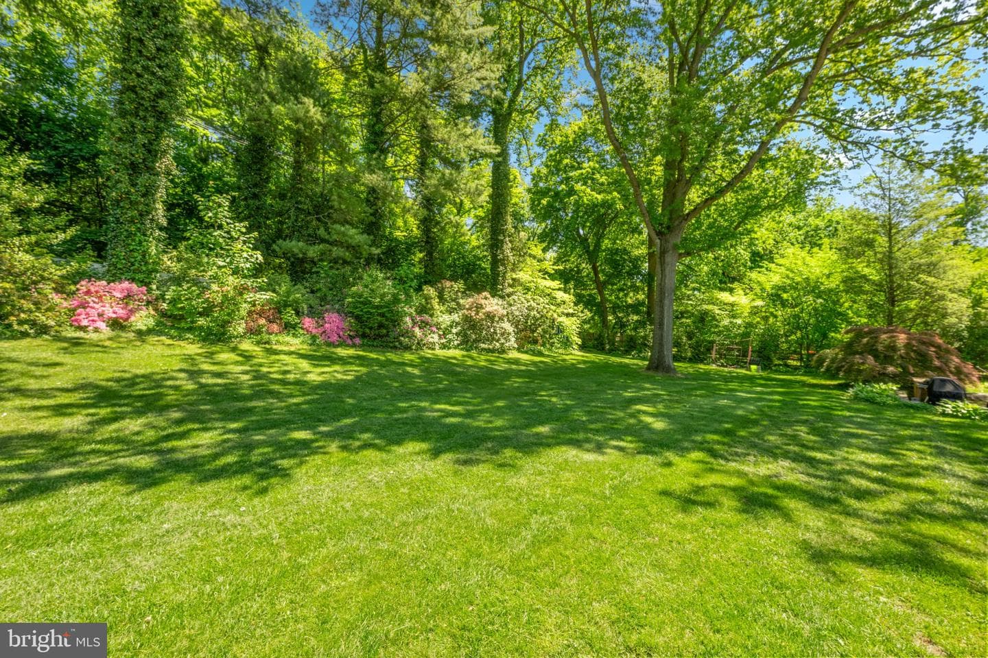 833 Great Springs Road photo 68