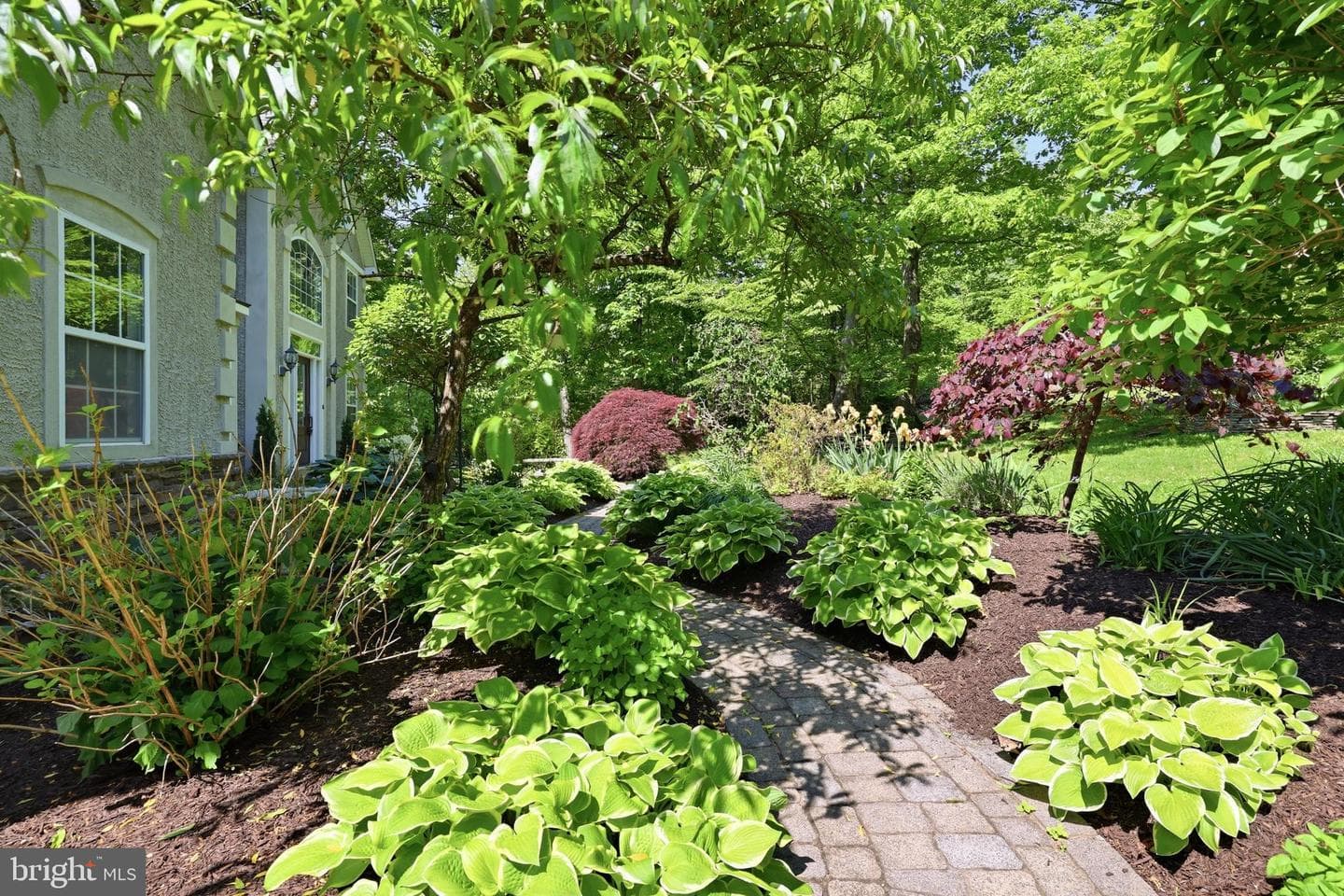 210 Meng Road photo 6