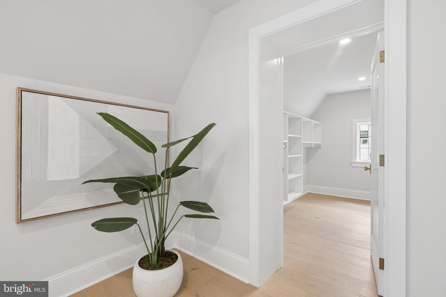 519 Sussex Road photo 51