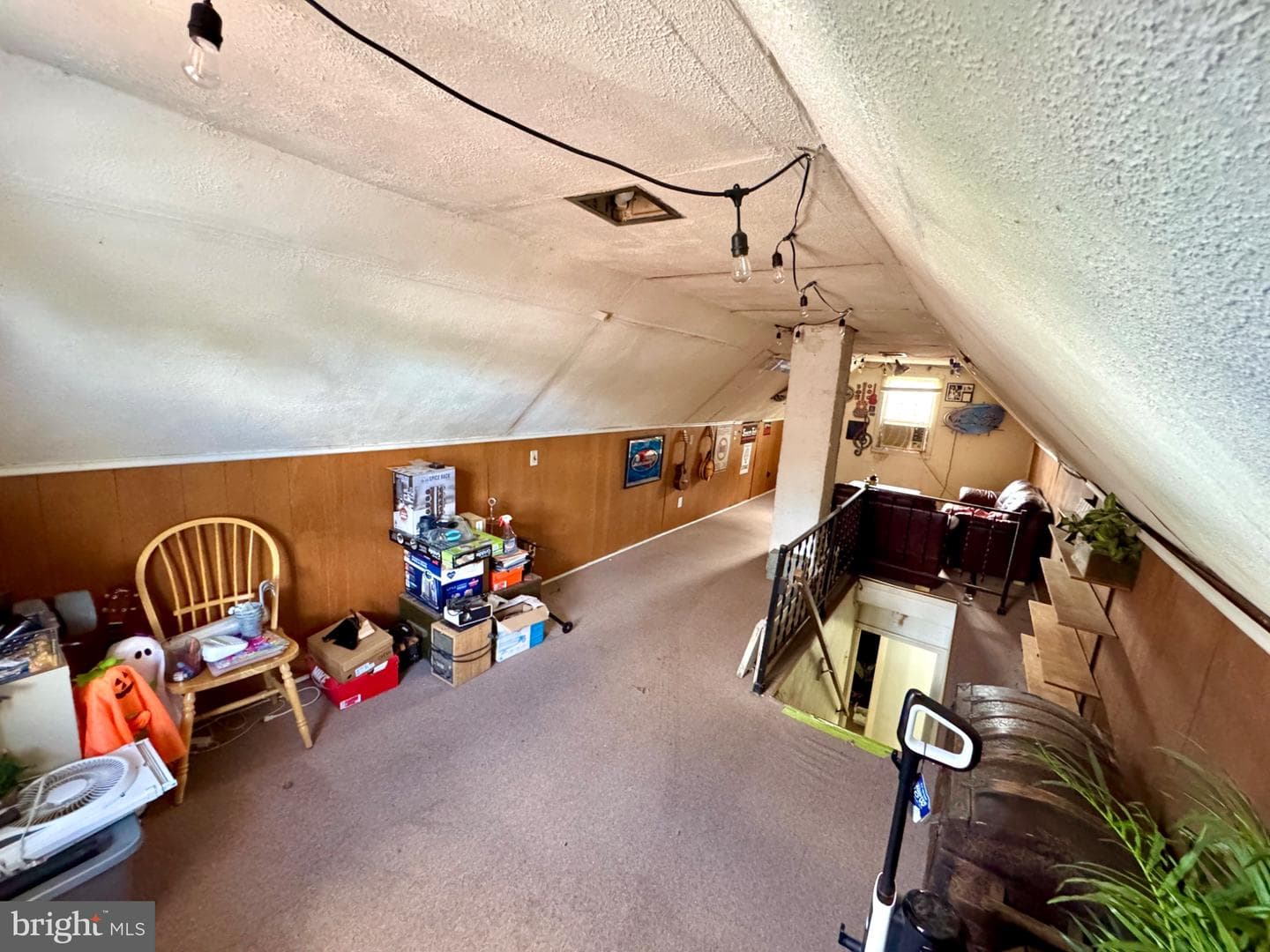 6 James Road photo 13