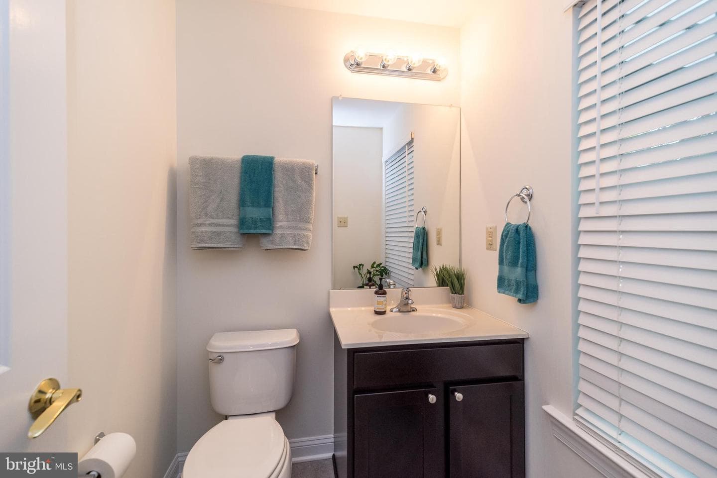 103 Mary Ambler Way photo 21
