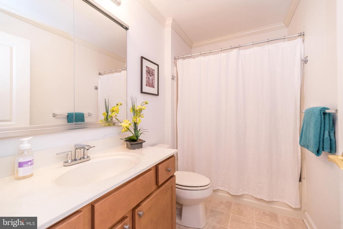 103 Mary Ambler Way photo 32