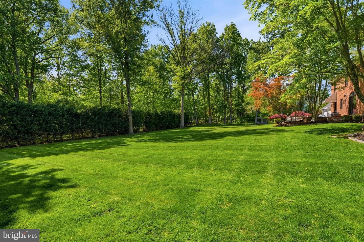 1234 Forest Hill Drive photo 30