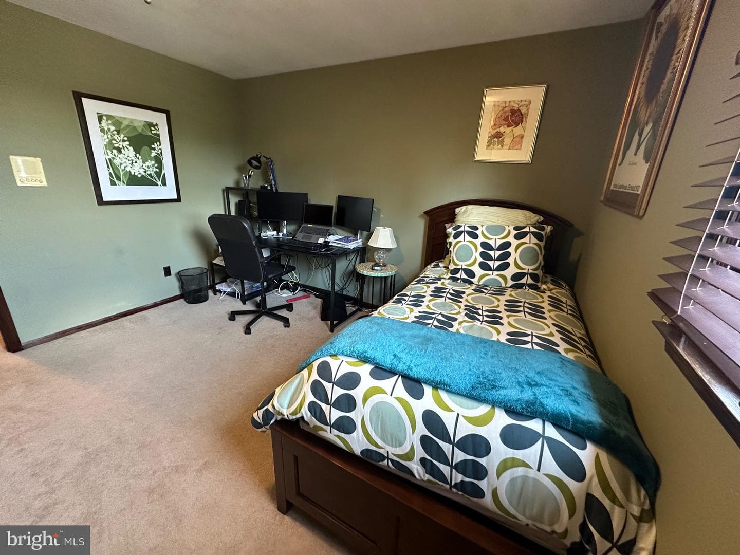 1325 Deflavis Circle photo 18