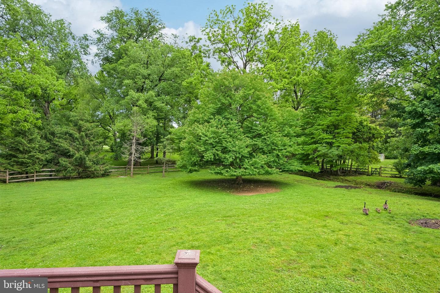 378 S Warner Road photo 62