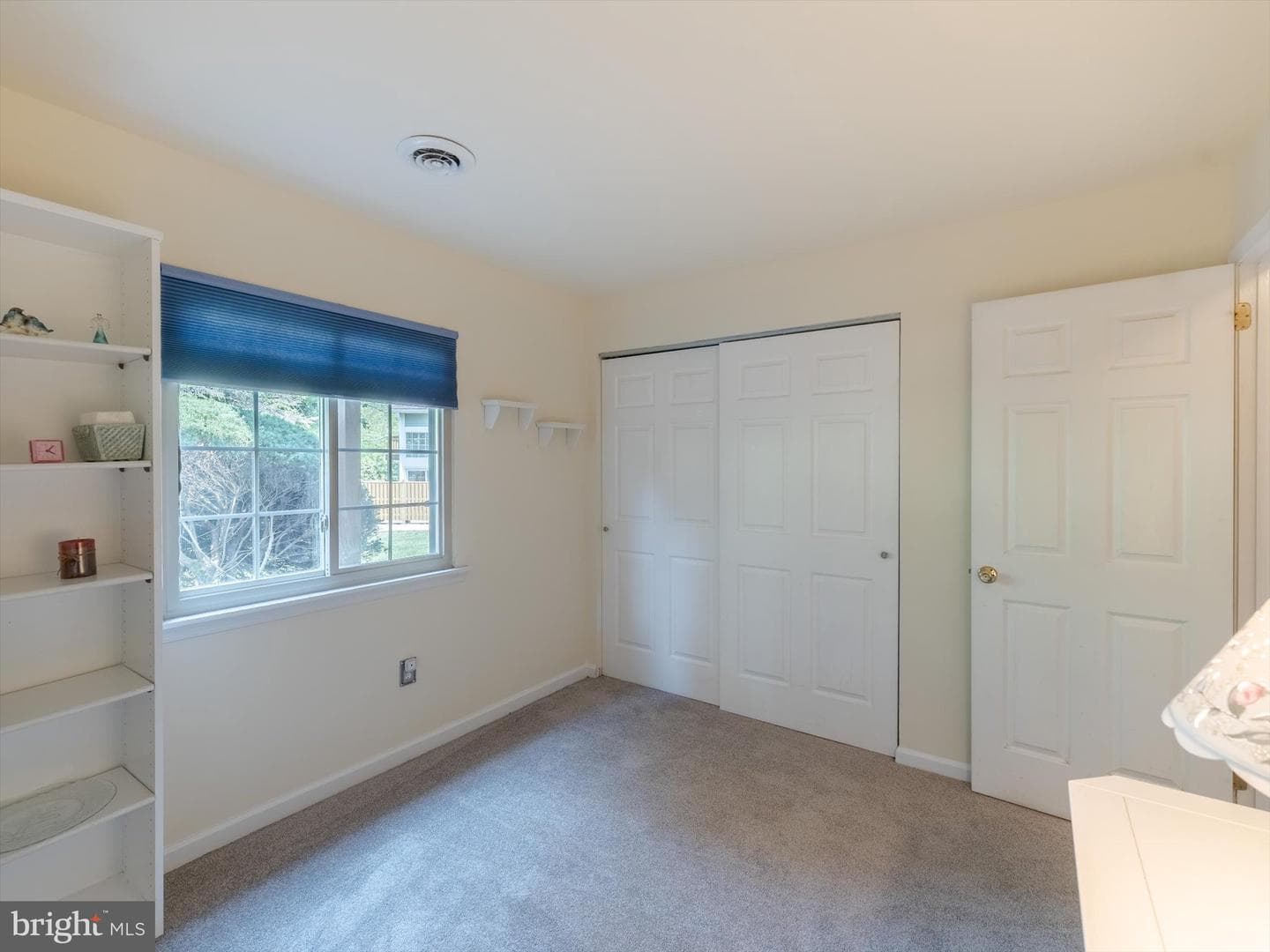 348 Green Meadow Lane photo 22