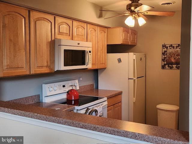 348 Green Meadow Lane photo 29