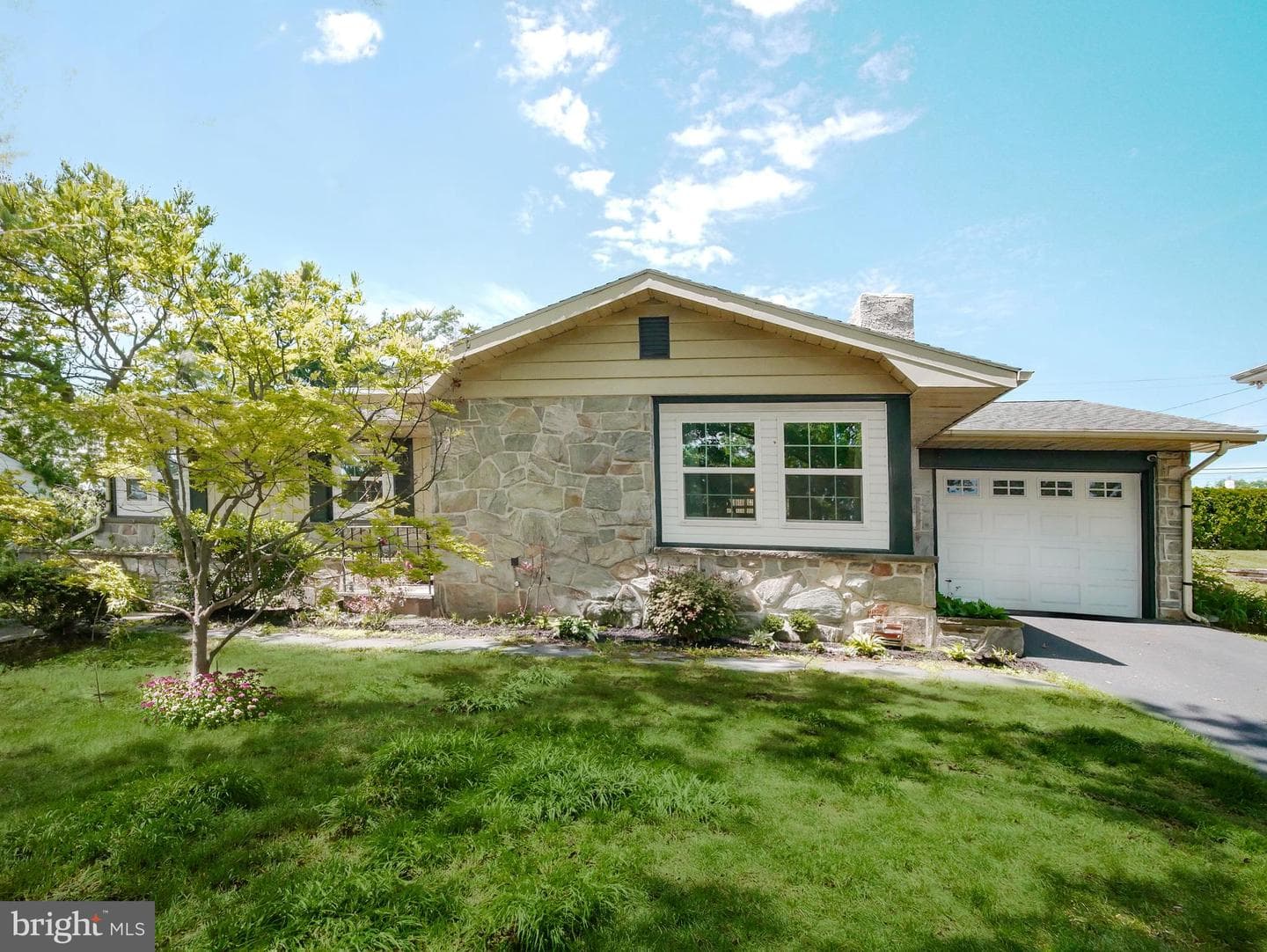 1017 Sycamore Drive photo 2