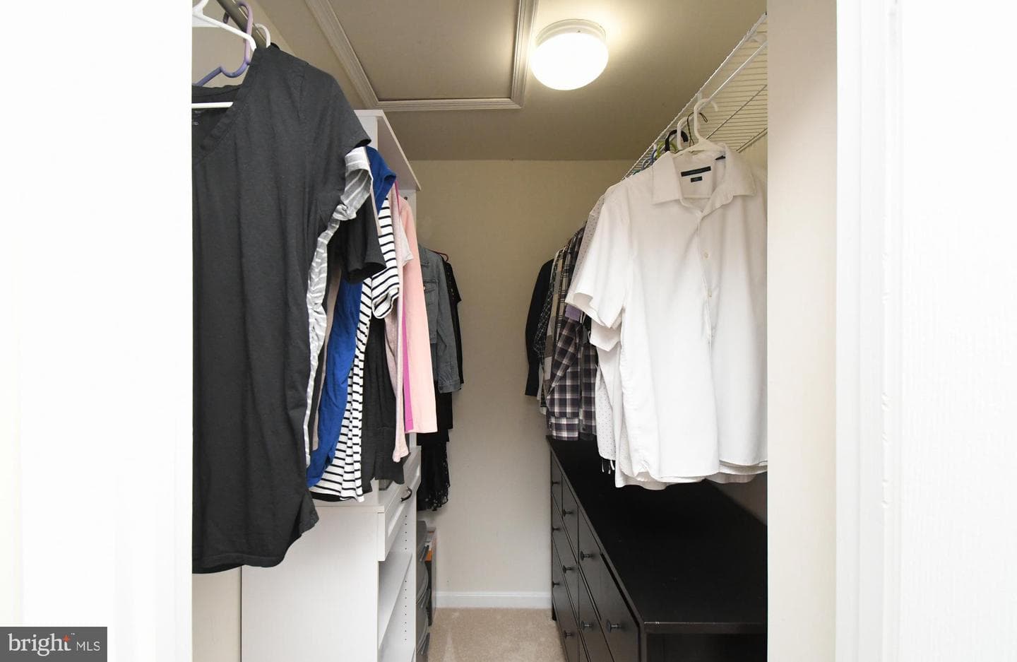113 Hudson Drive photo 28