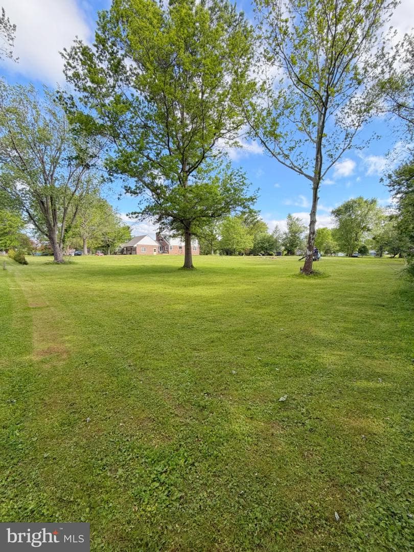 194 Congo Road photo 64