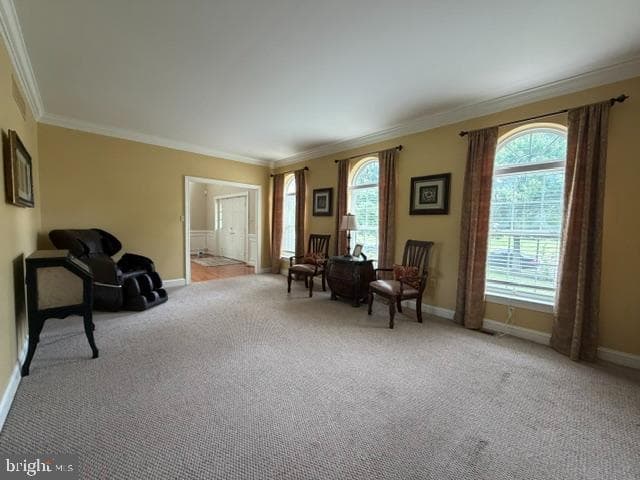 2051 Lockerbie Road photo 48