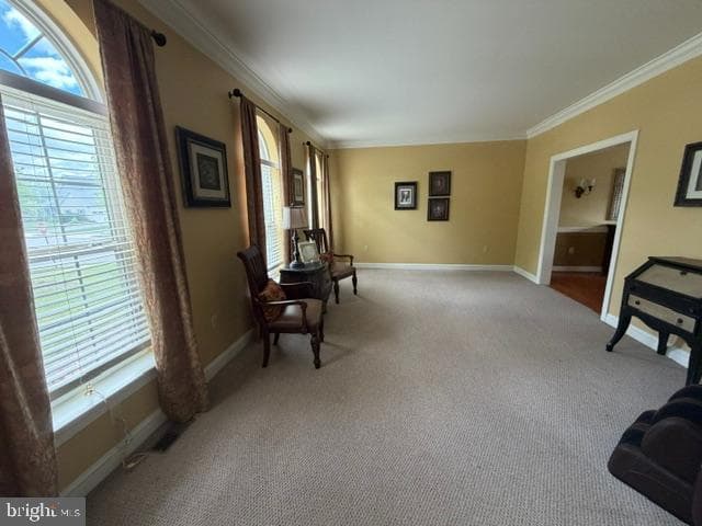 2051 Lockerbie Road photo 50
