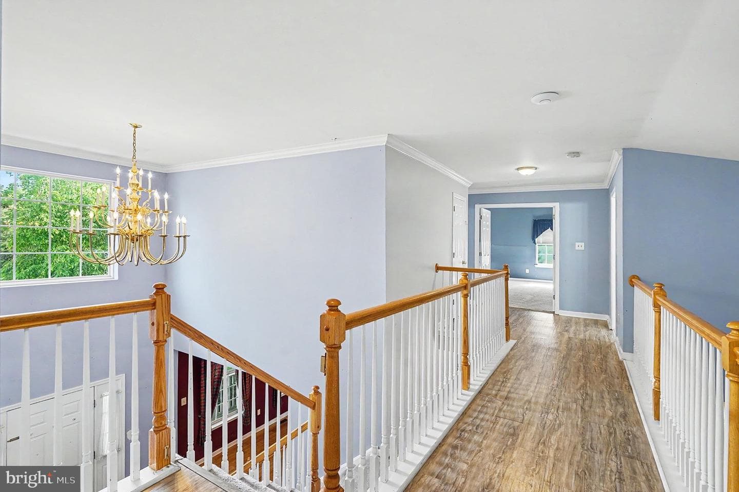 45 Jessica Circle photo 20