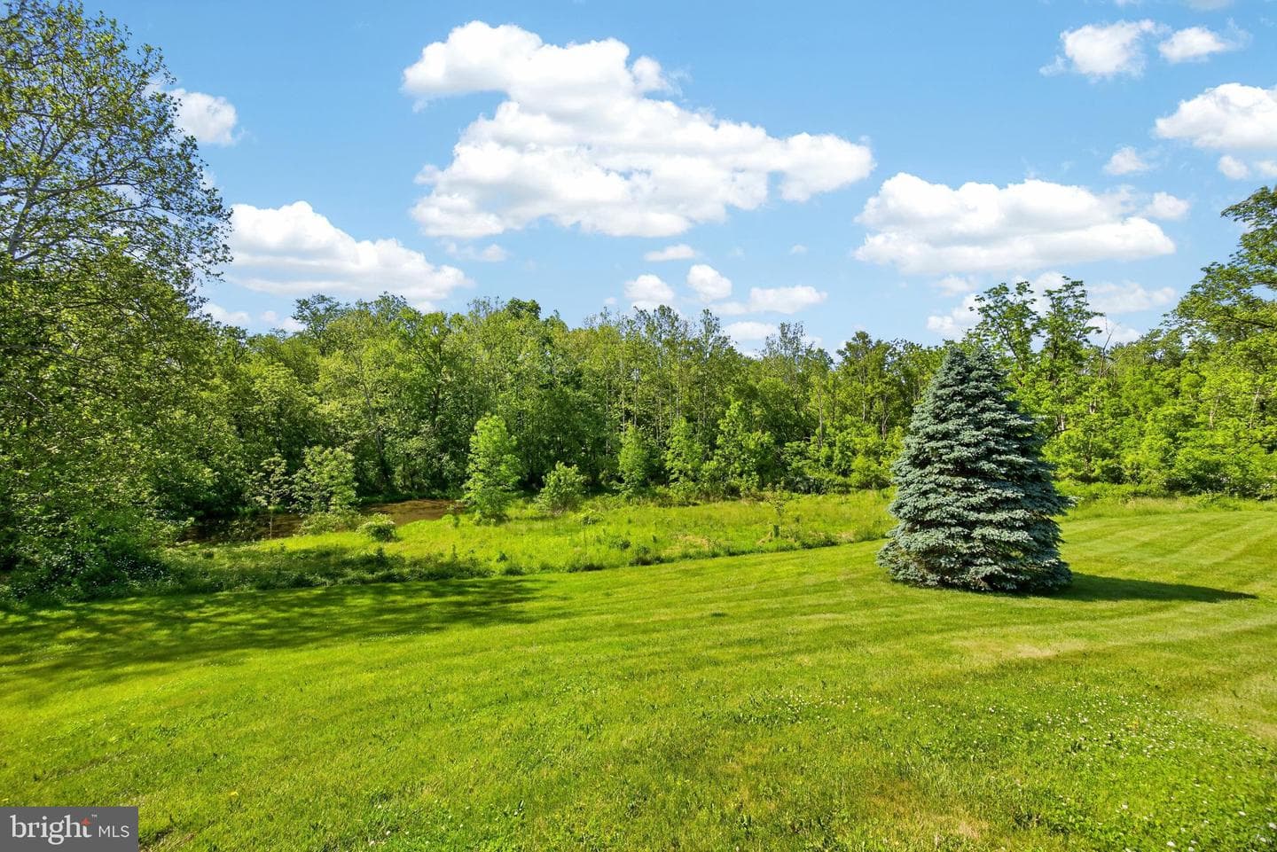 645 Landis Road photo 37