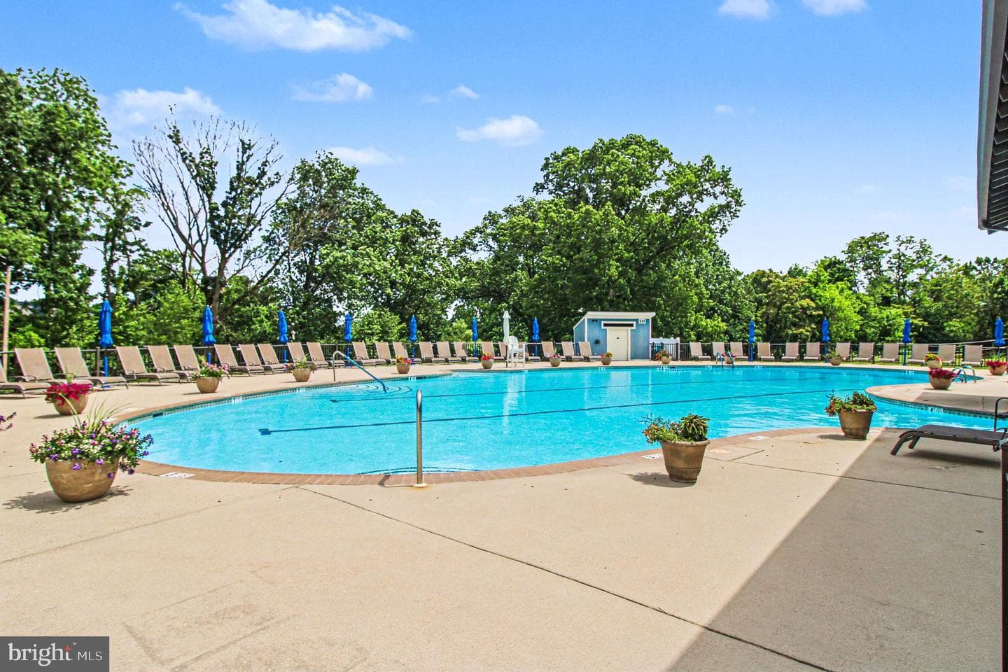 21235 Valley Forge Circle #1235 photo 35