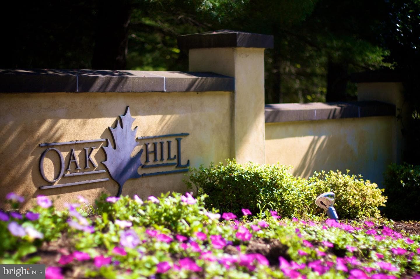 1637 Oakwood Drive #condo 321 photo 22