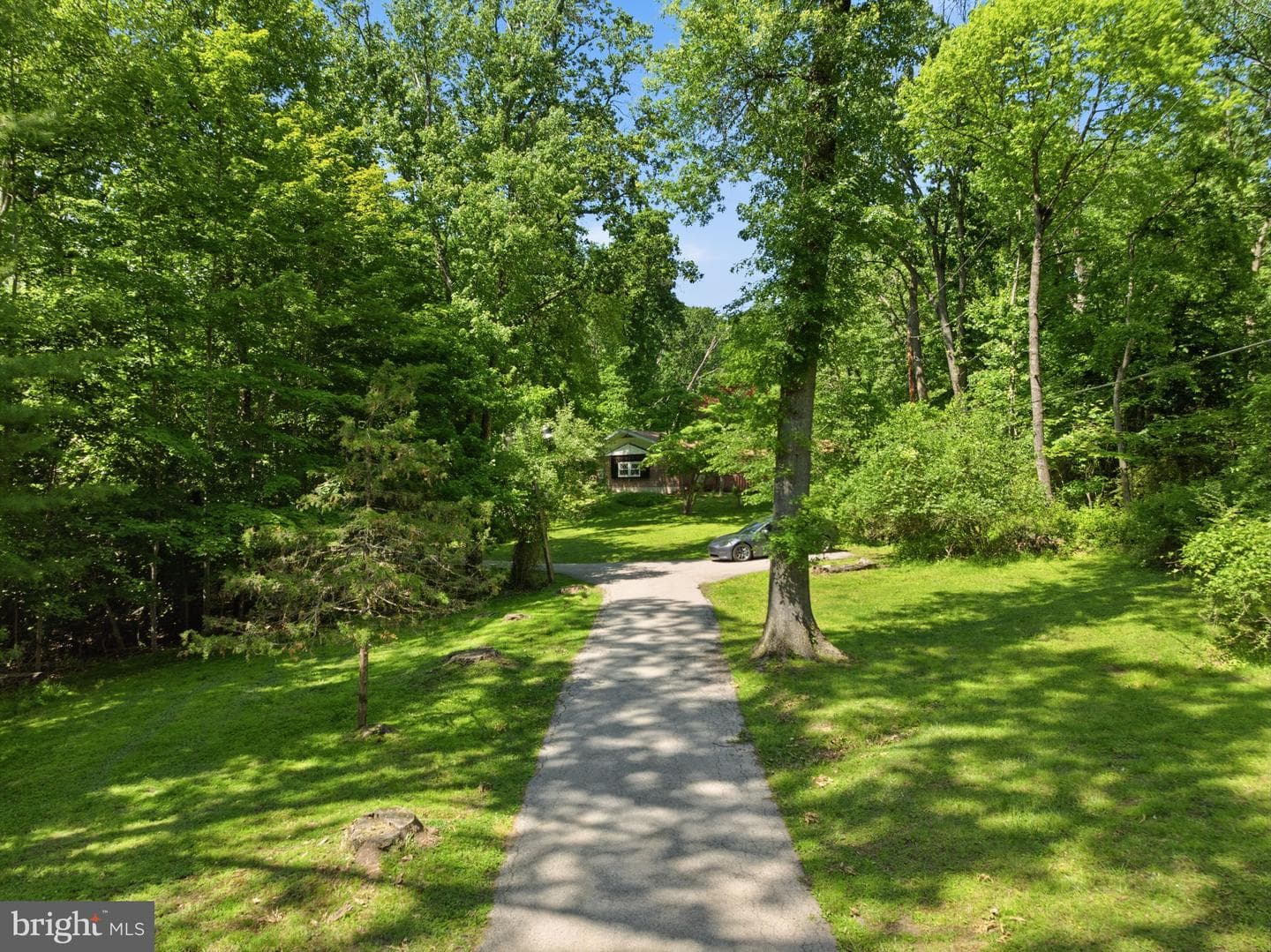 1701 Bahr Road photo 46