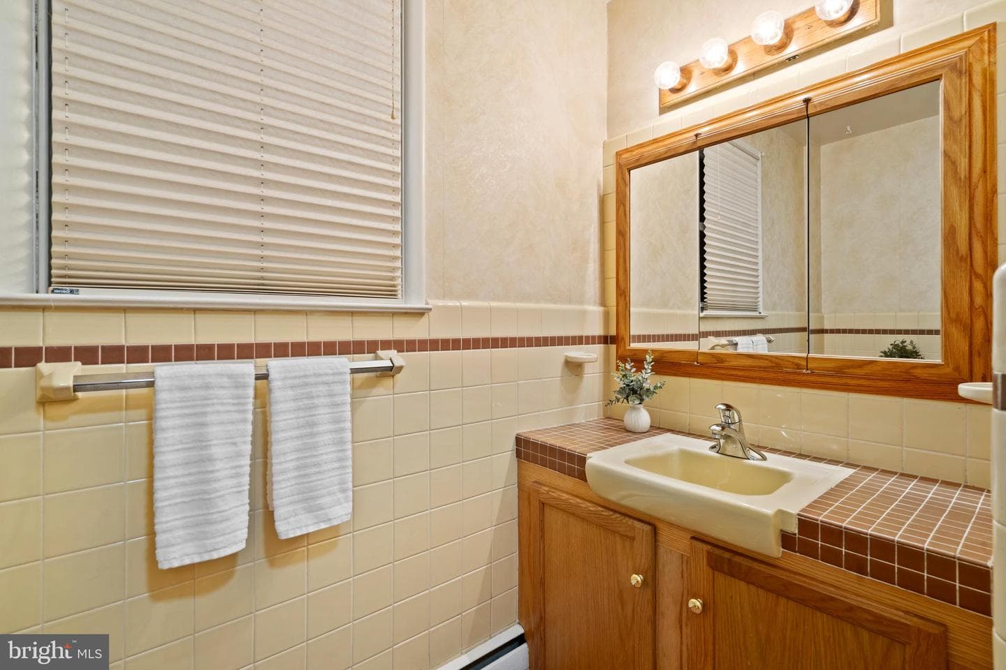 507 Kane Drive photo 19