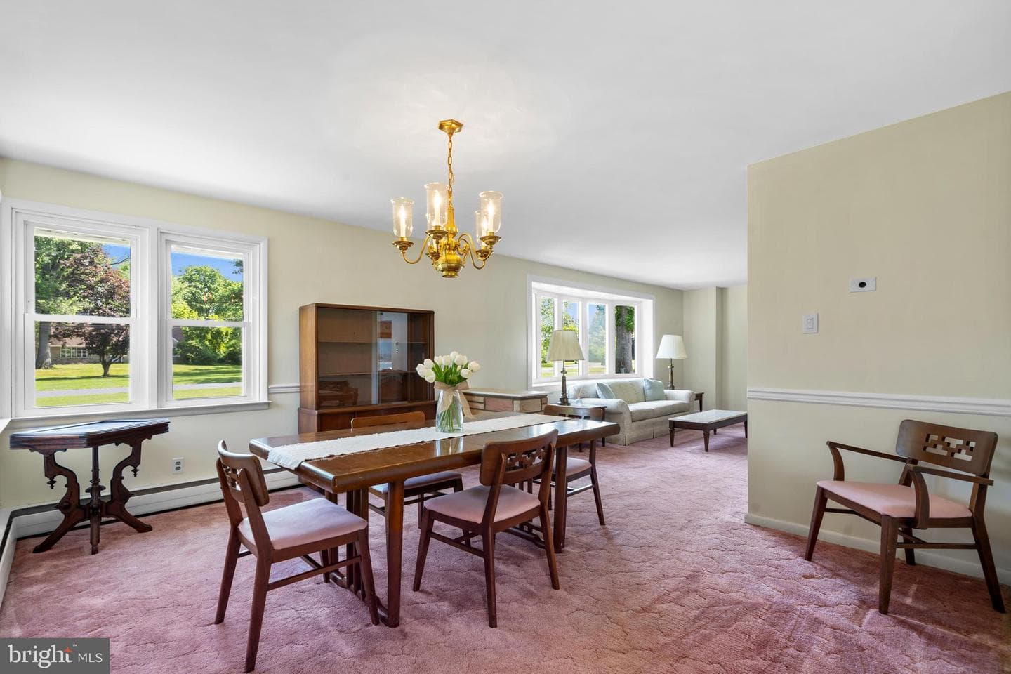 507 Kane Drive photo 24