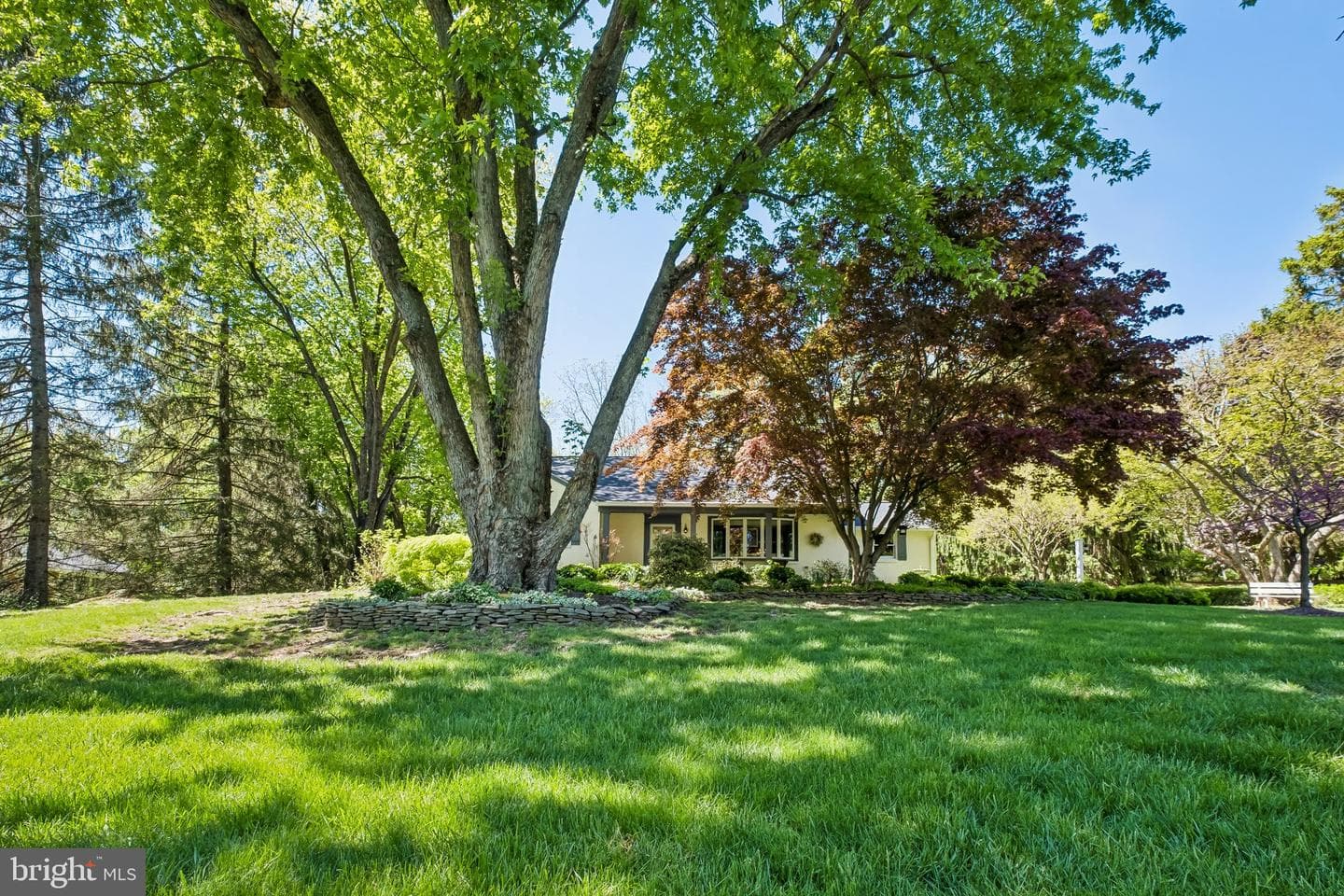 713 Alene Road photo 40