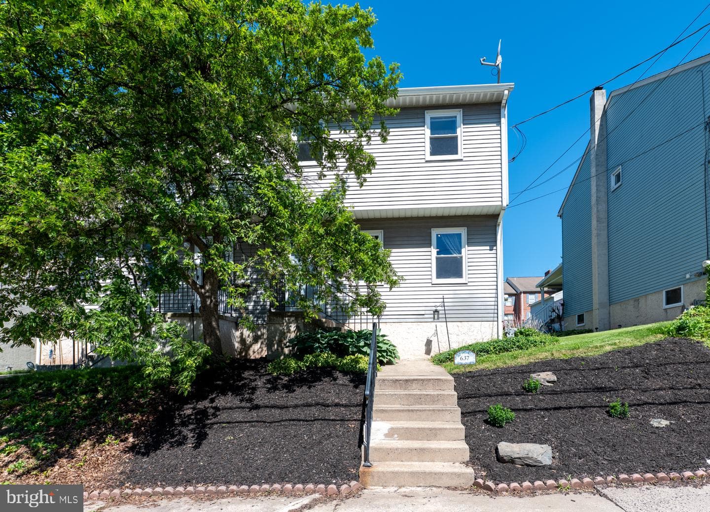 637 Willow Street photo 3