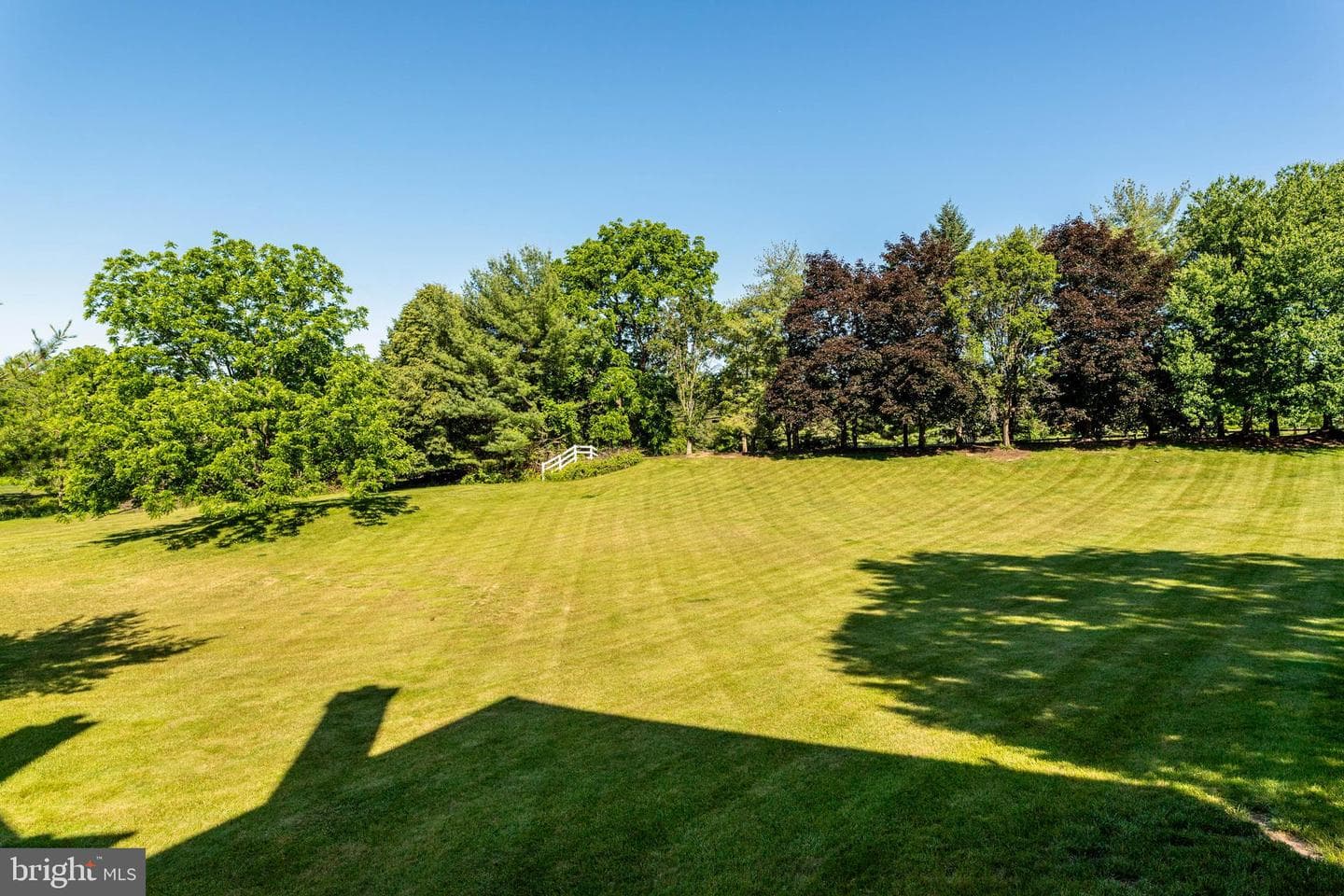401 Tamworth Court photo 41