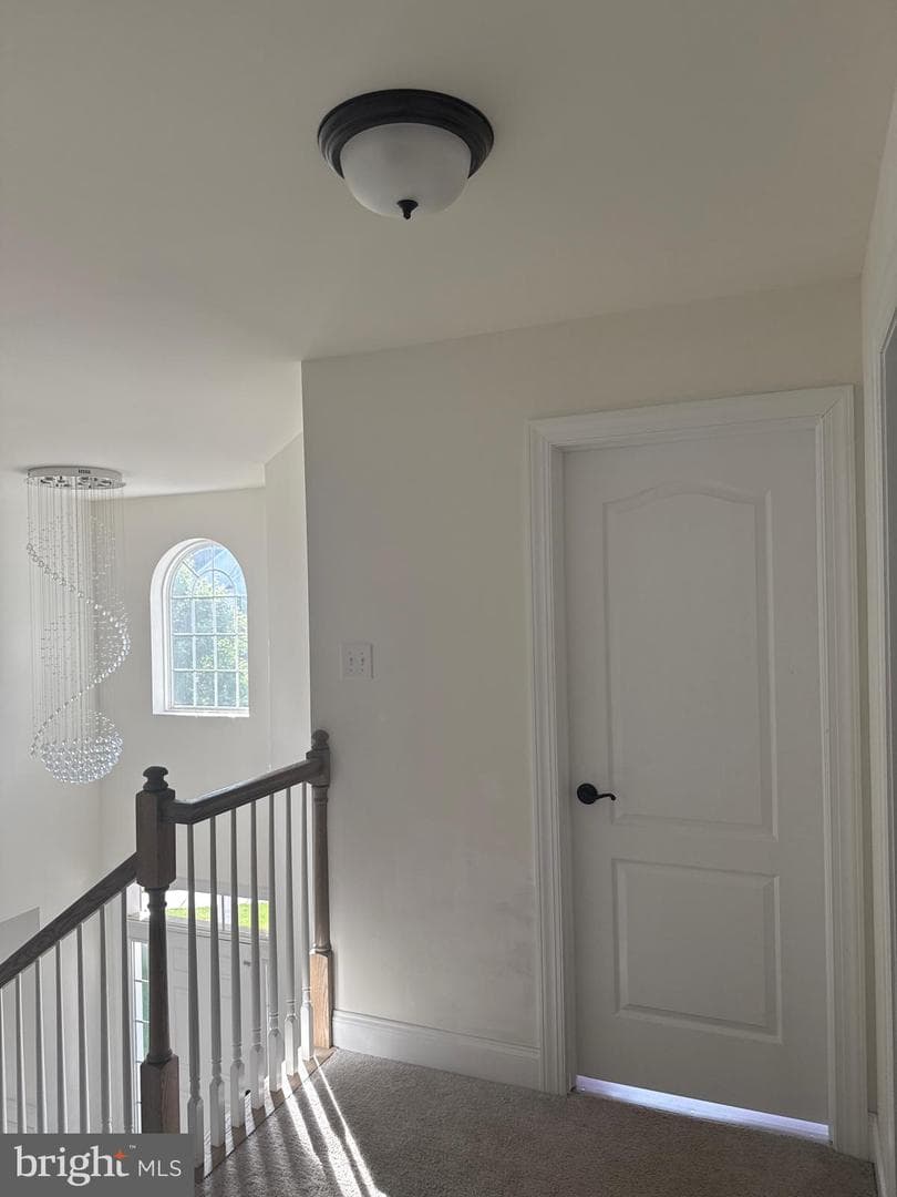 119 Markley Farm Circle photo 15
