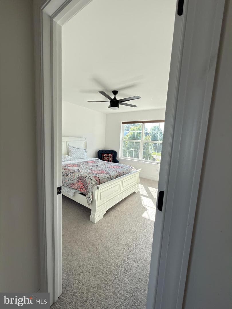 119 Markley Farm Circle photo 34