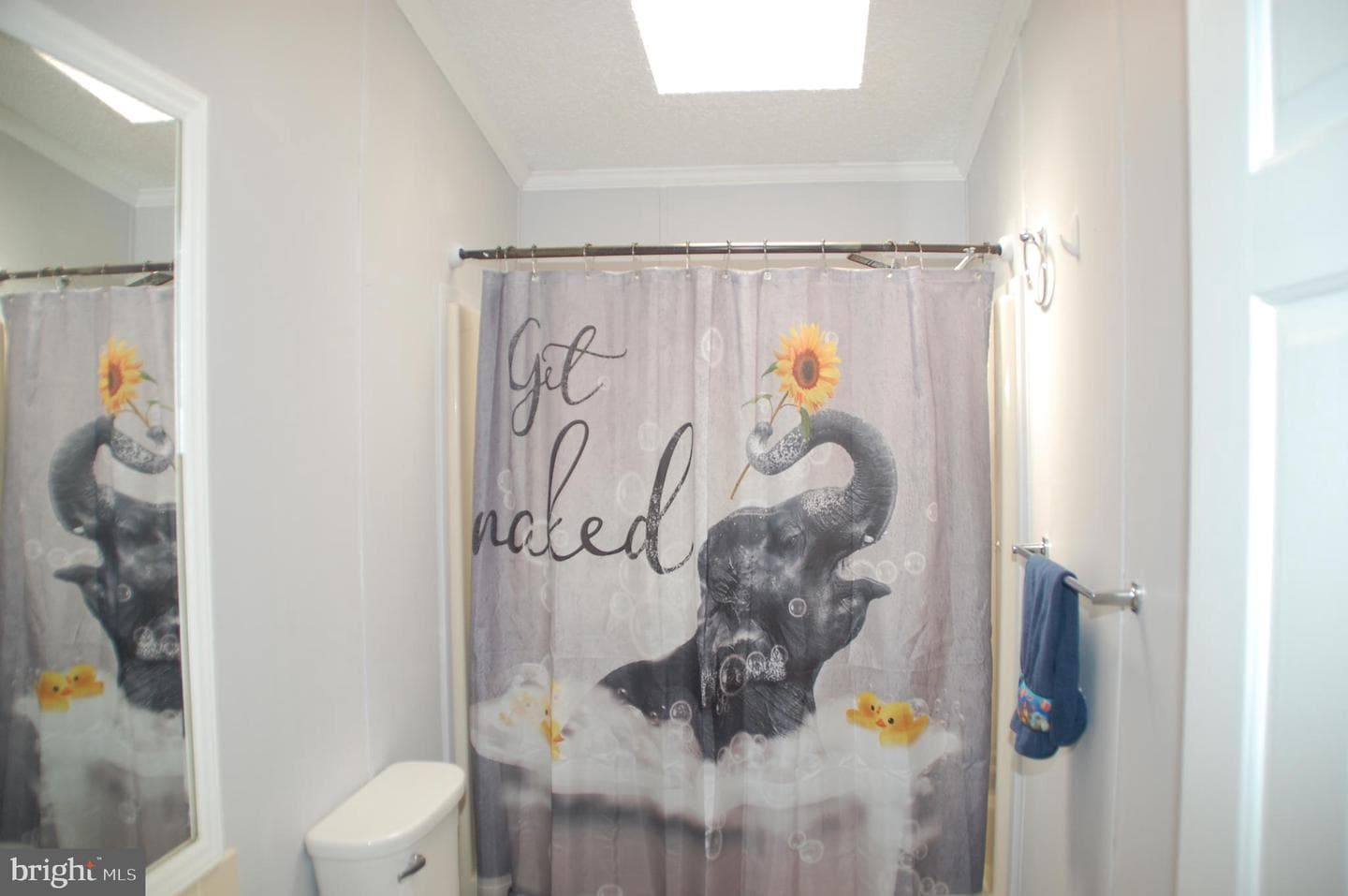 10 Brighton Place photo 29