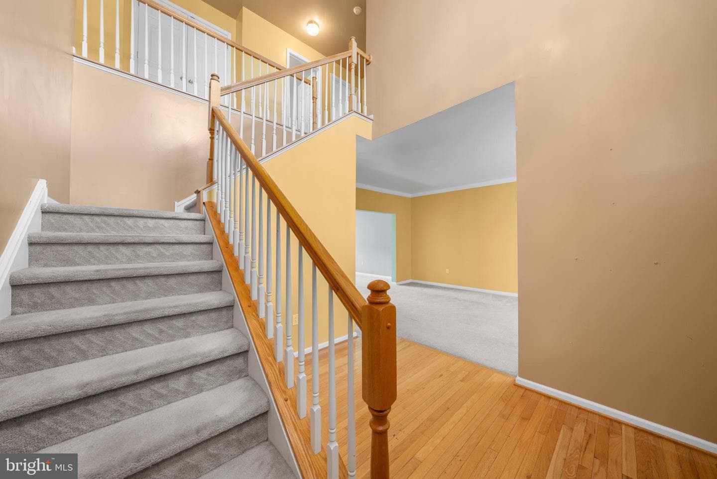 150 Marjessa Drive photo 3