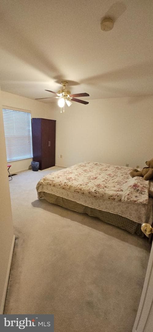 101 Tennyson Lane photo 21