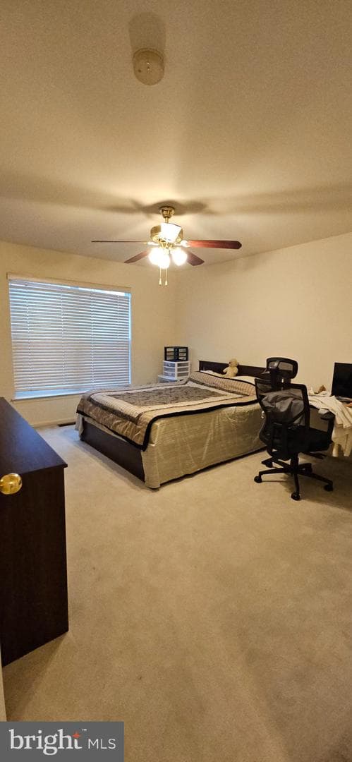 101 Tennyson Lane photo 23